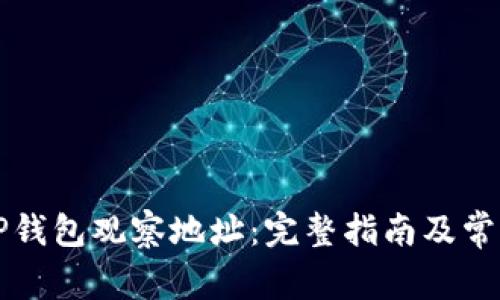 如何使用TP钱包观察地址：完整指南及常见问题解析