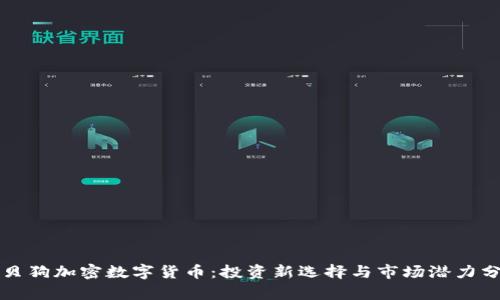 宝贝狗加密数字货币：投资新选择与市场潜力分析
