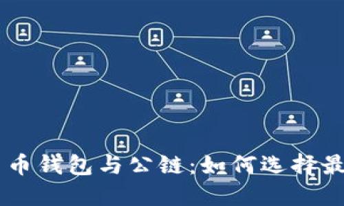 ### 加密货币钱包与公链：如何选择最适合你的平台