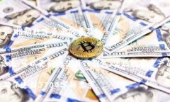   tP钱包的用法指南与常见问题解答 /  guanjianci