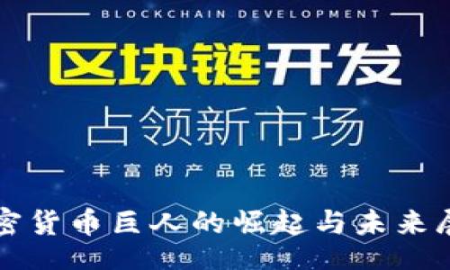 bin  
加密货币巨人的崛起与未来展望