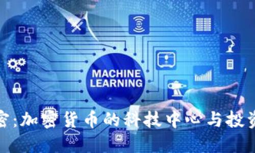 迈阿密：加密货币的科技中心与投资热土